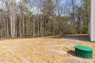 102 Palo Alto Park Dr, Maysville, NC 28555 - Photo 34