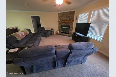 394 Bullard Pit Circle, Autryville, NC 28318 - Photo 2