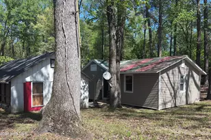 390 Phillips Hill Rd, Conway, NC 27820 - Photo 36