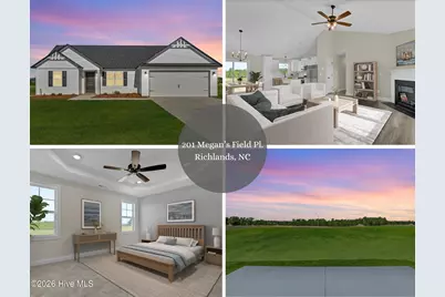 201 Megans Field Place #66, Richlands, NC 28574 - Photo 1