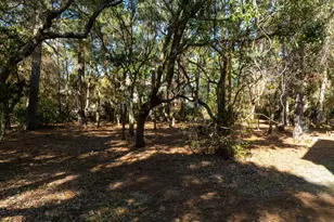 504 Periwinkle Way, Oak Island, NC 28465 - Photo 52