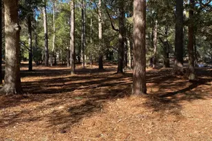 670 Cypress Grove Ct SE, Bolivia, NC 28422 - Photo 1