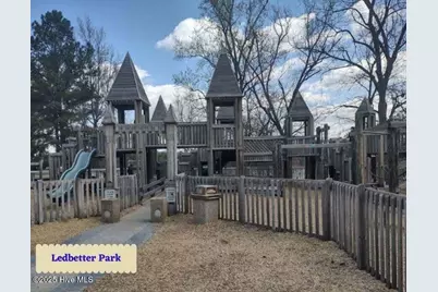 Tbd Country Canyon Drive, Cordova, NC 28330 - Photo 14