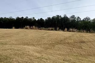 300 Bluejay St, Clayton, NC 27520 - Photo 8