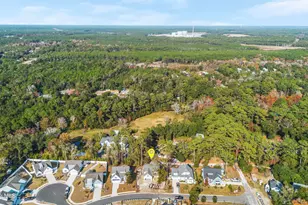 418 Raven Gln Dr, Southport, NC 28461 - Photo 46
