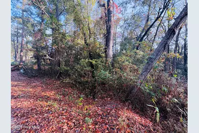 1574 Hollywood Street SW, Shallotte, NC 28470 - Photo 4