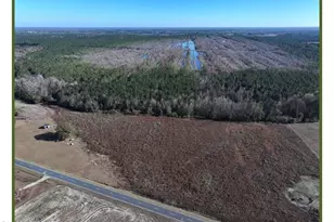 Lot 2 Wire Grass Rd, Orrum, NC 28369 - Photo 1