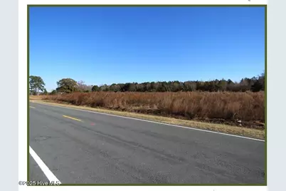 Lot 3 Wire Grass Road, Orrum, NC 28369 - Photo 6