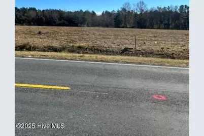 Lot 3 Wire Grass Road, Orrum, NC 28369 - Photo 8