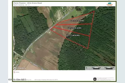 Lot 3 Wire Grass Road, Orrum, NC 28369 - Photo 4