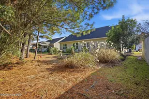 223 Chambers St, Leland, NC 28479 - Photo 6