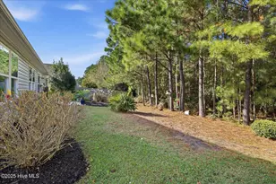 223 Chambers St, Leland, NC 28479 - Photo 8