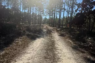 531 Eagle Rd, Newport, NC 28570 - Photo 6