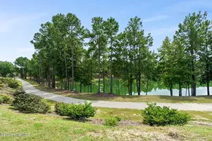 2713 Alvernia Dr, Castle Hayne, NC 28429 - Photo 36