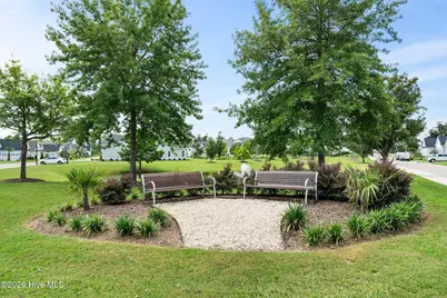 2713 Alvernia Drive, Castle Hayne, NC 28429 - Photo 34