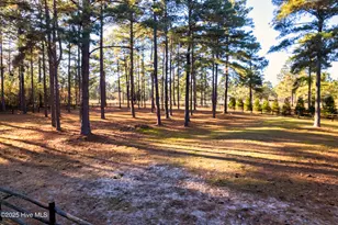 300 Good Barn Rd, Vass, NC 28394 - Photo 48