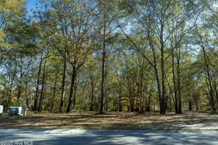 167 River Ridge Dr, Wallace, NC 28466 - Photo 4