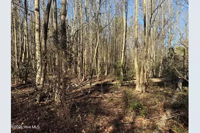 4758 Princess Ann Road, Chadbourn, NC 28431 - Photo 30