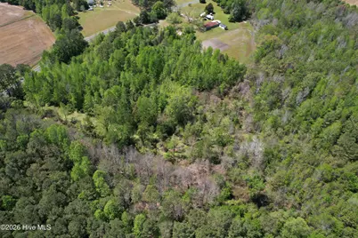 4758 Princess Ann Road, Chadbourn, NC 28431 - Photo 6