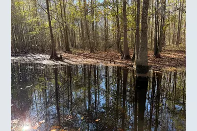 0 Macedonia Church Road, Evergreen, NC 28438 - Photo 20