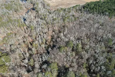 0 Macedonia Church Road, Evergreen, NC 28438 - Photo 2