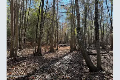 0 Macedonia Church Road, Evergreen, NC 28438 - Photo 28