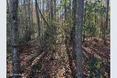 0 Macedonia Church Road, Evergreen, NC 28438 - Photo 18