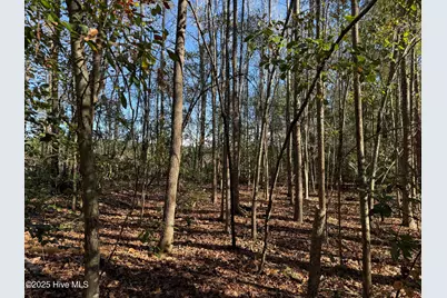 0 Macedonia Church Road, Evergreen, NC 28438 - Photo 24