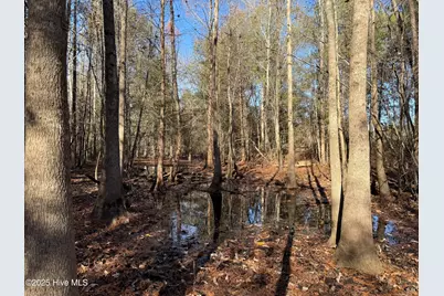 0 Macedonia Church Road, Evergreen, NC 28438 - Photo 34