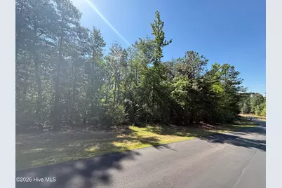 114 Lake View Pass, Rockingham, NC 28379 - Photo 8