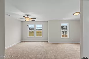 900 Wild Azalea Wy, Hubert, NC 28539 - Photo 24