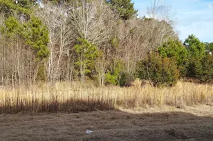 118 Cripple Crk Dr, Swansboro, NC 28584 - Photo 4