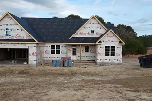 118 Cripple Crk Dr, Swansboro, NC 28584 - Photo 2