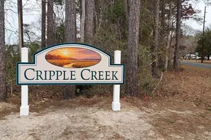 118 Cripple Crk Dr, Swansboro, NC 28584 - Photo 6