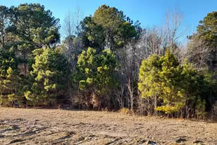 121 Rolling Water Ln, Swansboro, NC 28584 - Photo 4