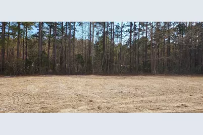 110 Rolling  Water Lane, Swansboro, NC 28584 - Photo 18