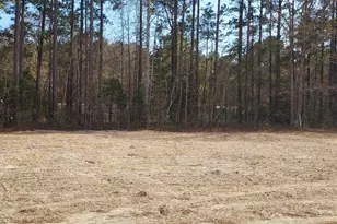 110 Rolling Water Ln, Swansboro, NC 28584 - Photo 18