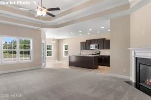 716 Puppy Drum Ln, Maysville, NC 28555 - Photo 6