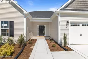 716 Puppy Drum Ln, Maysville, NC 28555 - Photo 4