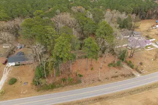 2671 Harts Mill Run Rd, Tarboro, NC 27886 - Photo 50