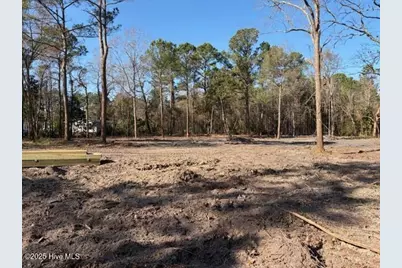 4403 Smith Trail NE, Leland, NC 28451 - Photo 2