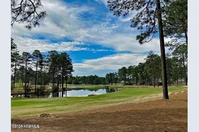 50 Cochrane Castle Circle, Pinehurst, NC 28374 - Photo 48