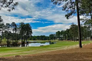 50 Cochrane Castle Circle, Pinehurst, NC 28374 - Photo 48