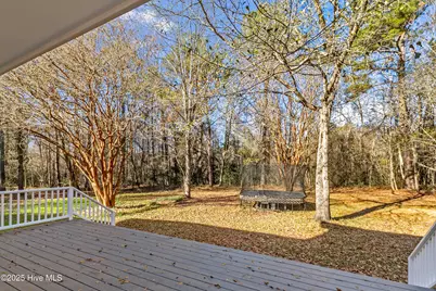 4472 Croomsbridge Road, Burgaw, NC 28425 - Photo 60