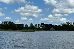 348 Battalina Ln, Belhaven, NC 27810 - Photo 1