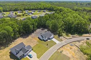 2939 Tucker Hl Dr, Grimesland, NC 27837 - Photo 42