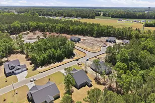 2980 Tucker Hl Dr, Grimesland, NC 27837 - Photo 38