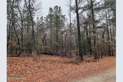 1211 Laurel Circle, Vass, NC 28394 - Photo 2