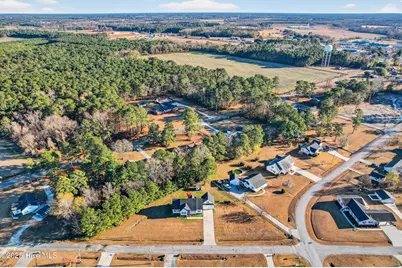162 Deer Run Lane, Beulaville, NC 28518 - Photo 38