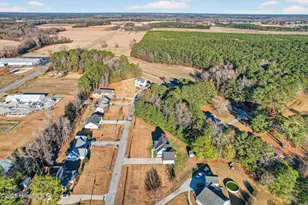 162 Deer Run Ln, Beulaville, NC 28518 - Photo 40